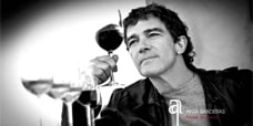 AntaBanderas