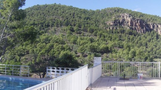 olocau1