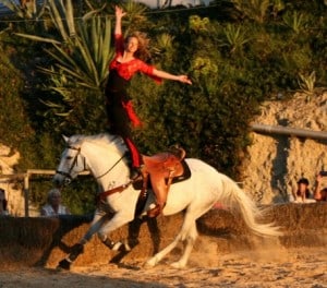 Equestrian4.6